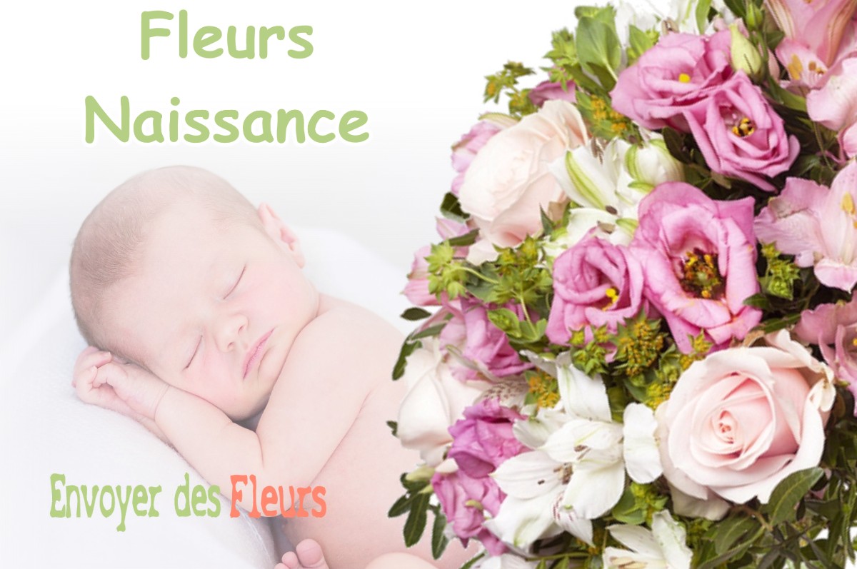 lIVRAISON FLEURS NAISSANCE à LE-PASQUIER